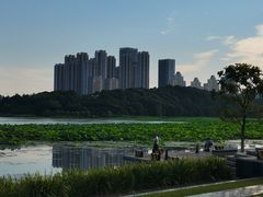 -月湖风景区