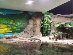 -上海海洋水族馆