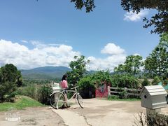 -黄色小屋