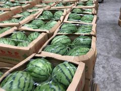 -双福水果批发市场
