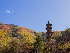 -秦岭风景区