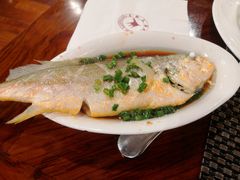 -温州王朝大酒店-自助餐厅