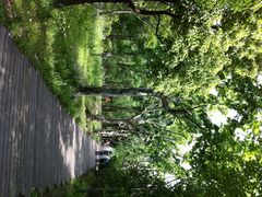 iphone_upload_pic-新江湾城公园