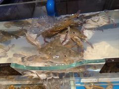 -加餐海鲜自助(集美银泰百货店)