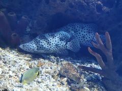 -多彩贵州城极地海洋世界