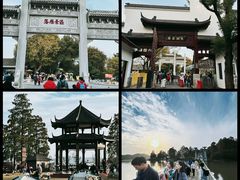 -东湖落雁景区