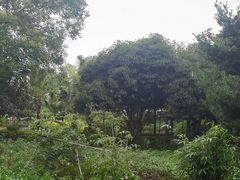 -故乡缘·香格里拉山庄(冷竹路店)