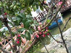 -湖南广播电视台娱乐频道