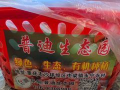 -普迪生态园