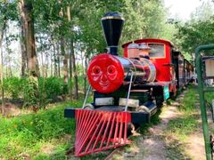 -合肥滨湖国家森林公园