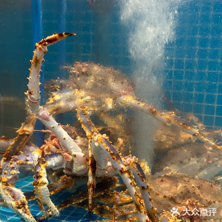 西安家宴！吃完婆婆立马带我买三金啦！！