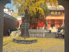 -长春观