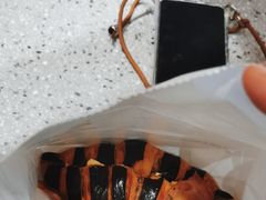 -君之狮子山·轻糖烘焙(松江印象城店)