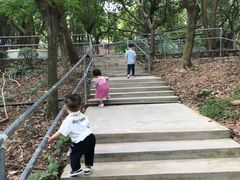 -广东茂名森林公园