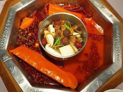 锅中锅-蜀九香火锅(九眼桥店)