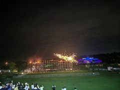 -大塘金香草谷
