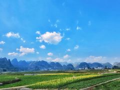 -万峰林风景区
