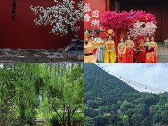 -华清宫景区