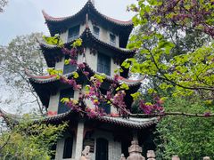-成都杜甫草堂博物馆