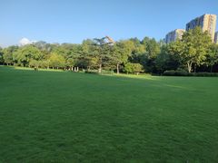 -杭州城北体育公园