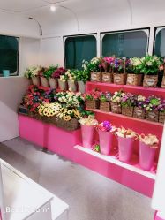 -MINI MARS KIDS CLUB亲子家庭中心(长宁天山店)