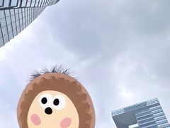 -上海中心大厦