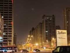 -天津水游城丽筠酒店