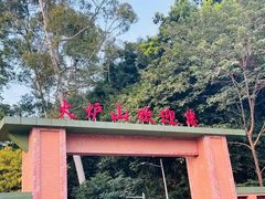 -火炉山森林公园