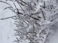 -崂山巨峰游览区
