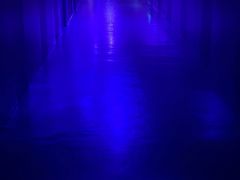 -白鹤梁水下博物馆