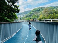 -银湖山郊野公园-相思林