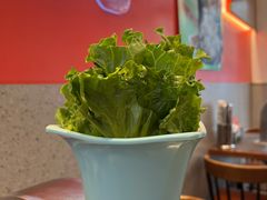 -揽月斋炙子烤肉·清真(安定门·五道营店)