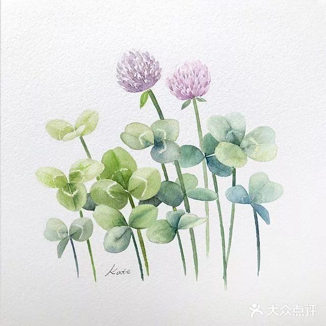 看大神用水彩画一整个后花园！