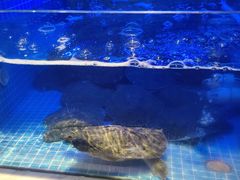 -王捌小院(红花坡店)