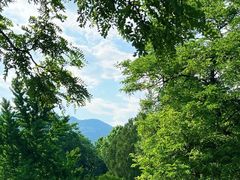 -济南国际园博园