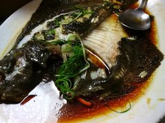 清蒸多宝鱼-明香海鲜酒家(华强北店)