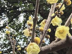 -覃记螺蛳粉·桂林米粉(鼓楼南街店)