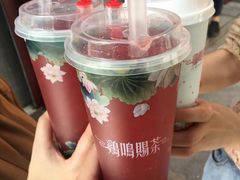 -鸡鸣赐茶(鸡鸣寺路店)