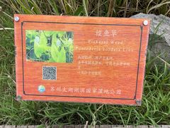 -苏州太湖湖滨国家湿地公园