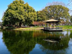 -上海共青森林公园