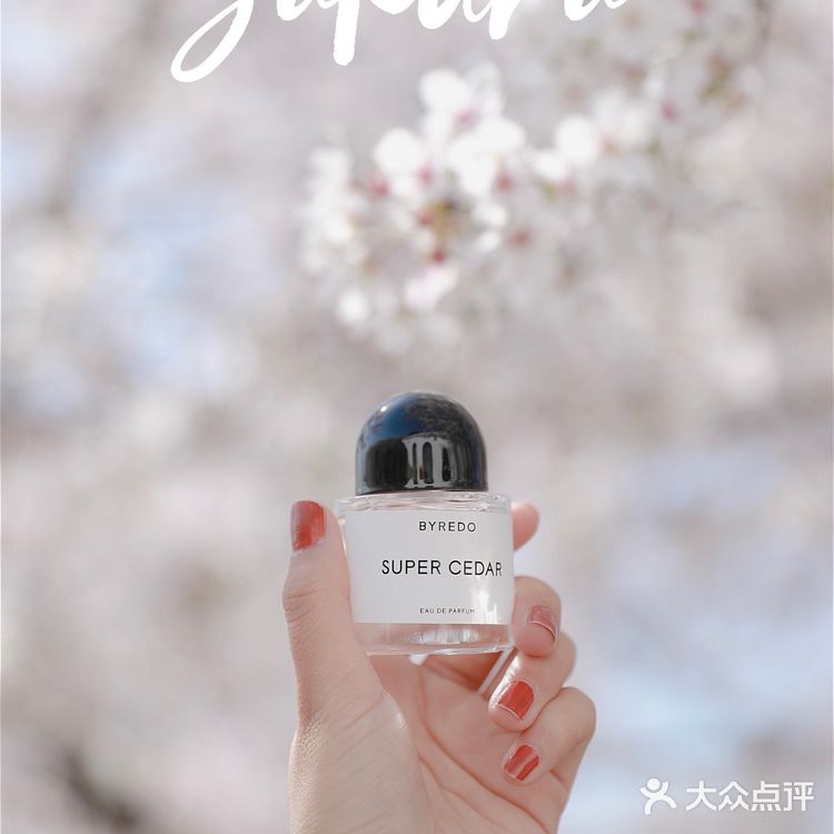 苏城浪漫樱花实录🌸