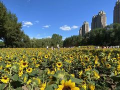 -长白岛森林公园