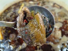 -金海椒罐罐鲢鱼(东方桂苑店)