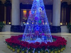 -上海光大会展中心国际大酒店