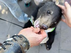 -波塞冬旅游度假区