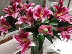 -红日饭店(裕隆三路店)