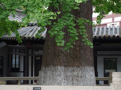 -常熟方塔园