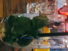 -海雾里小酒馆(观音桥店)