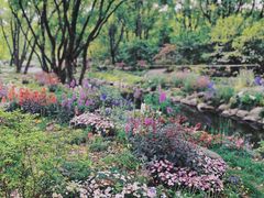 -上海共青森林公园