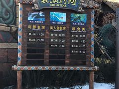 -哈尔滨波塞冬海底世界